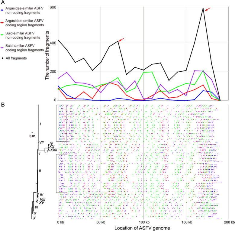 Host-similar fragments in the African swine fever virus genome: distribution, functions, and evolution.