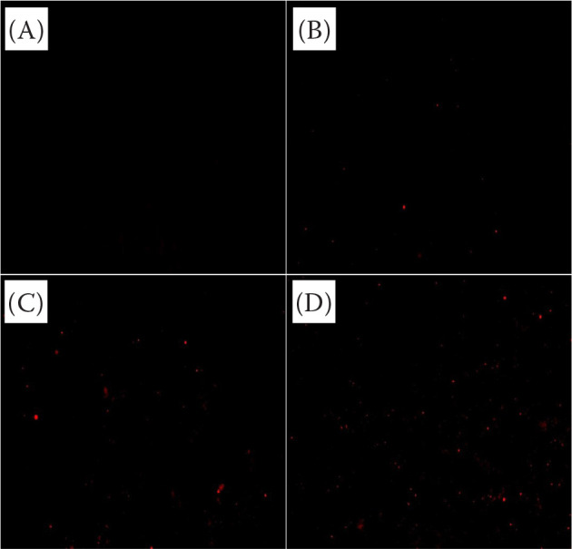Antibacterial activity and compositional analysis of <i>Acer truncatum</i> bunge leaf extract against <i>Staphylococcus aureus</i>.