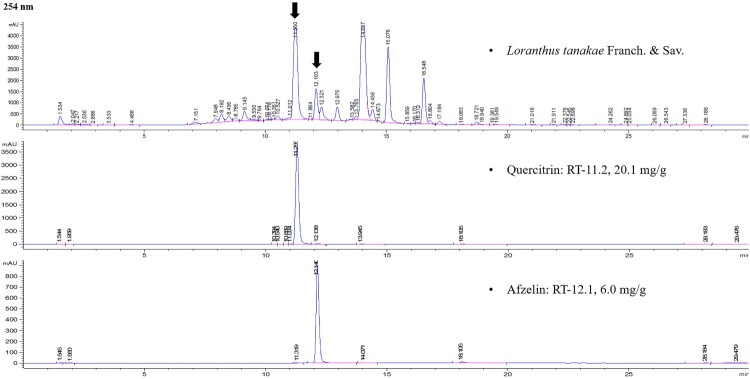 Comprehensive analysis of protective effects of <i>Loranthus tanakae</i> Franch. and Sav. on ovalbumin-induced atopic dermatitis in mice and TNF-<i>α</i>/INF-<i>γ</i>-stimulated HaCaT cells.