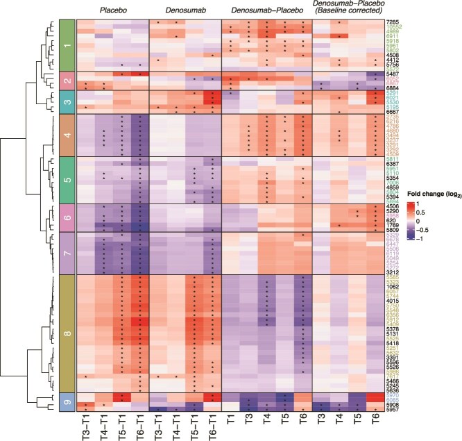 Uncemented hip arthroplasty and denosumab: increased postoperative dipeptide concentrations and identification of potential new bone turnover biomarkers.