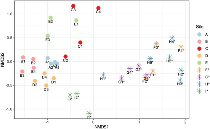 Comparative Three-Barcode Phylogenetics and Soil Microbiomes of Planted and Wild <i>Arbutus</i> Strawberry Trees.