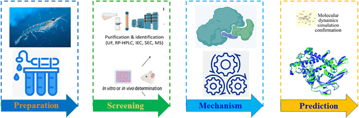 Review on bioactive peptides from Antarctic krill: From preparation to structure-activity relationship and tech-functionality.