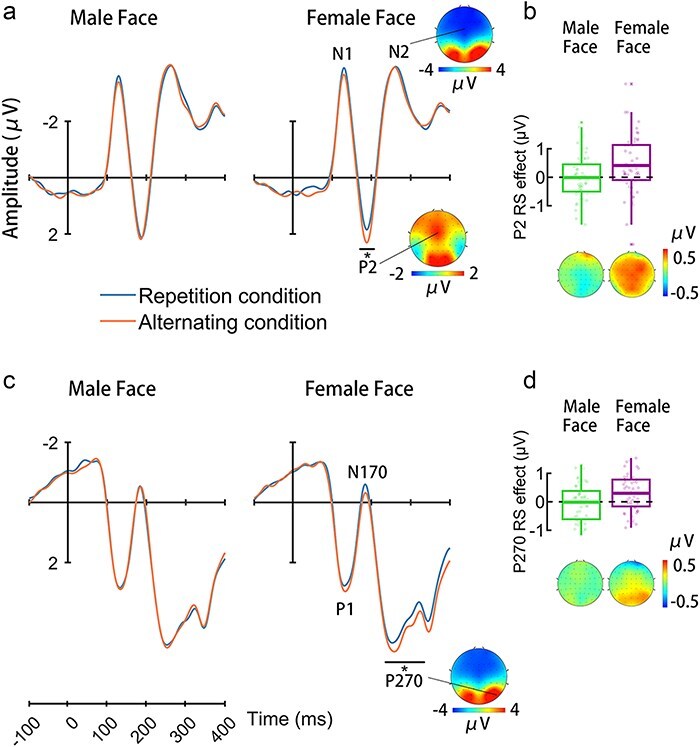 Priority of spontaneous gender categorization of same-sex faces in young adults.