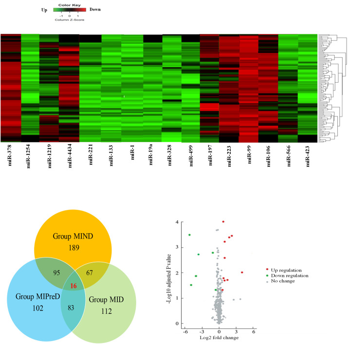 Bioinformatics analyses of potential microRNAs and their target genes in myocardial infarction patients with diabetes.