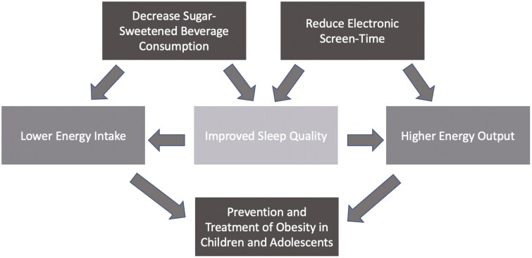 Optimizing energy balance in youth: reducing sugar-sweetened beverages and screen time.
