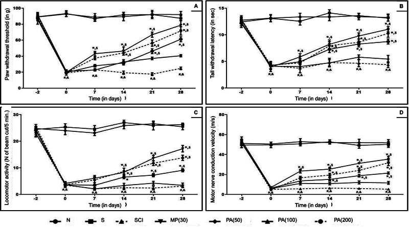 Phyllanthin from Phyllanthus amarus exerts neuroprotective effects against spinal cord injury in experimental rats.