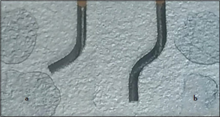 Abstract Image