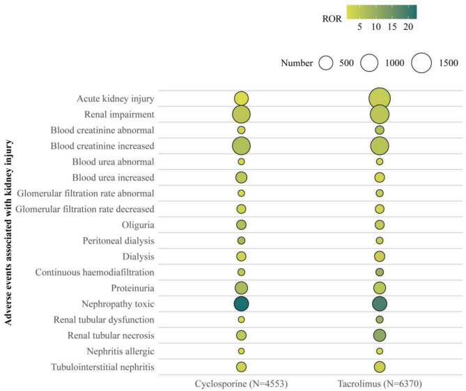 A comparative analysis of drug-induced kidney injury adverse reactions between cyclosporine and tacrolimus based on the FAERS database.
