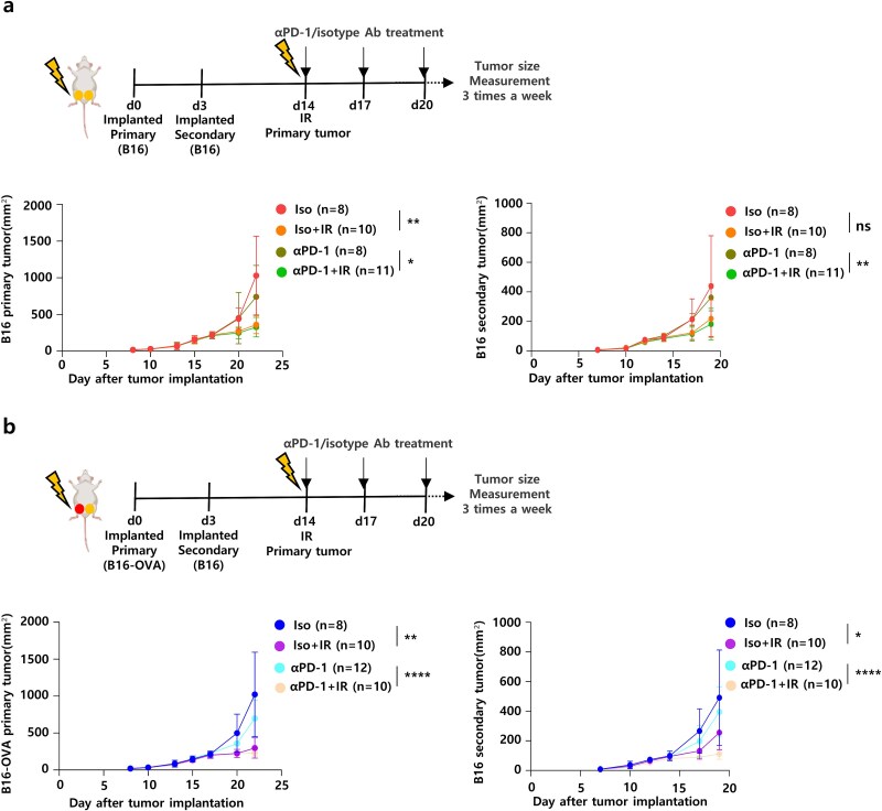 Investigating tumor immunogenicity as a determinant of differential abscopal effects.