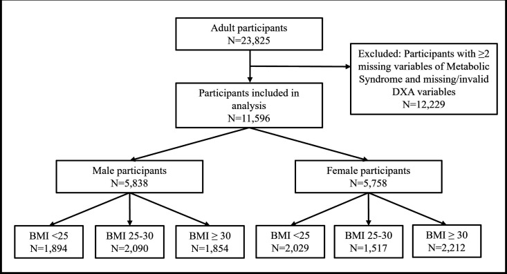 Differences in fat distribution between metabolically unhealthy people with normal weight versus obesity, NHANES 2011-2018.