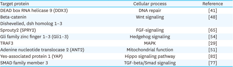 Casein kinase 1 epsilon (CK1ε) as a potential therapeutic target in chronic liver disease.