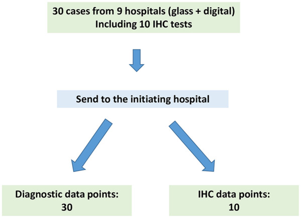 Validation of A Nationwide Digital Pediatric Pathology Consultation Network.