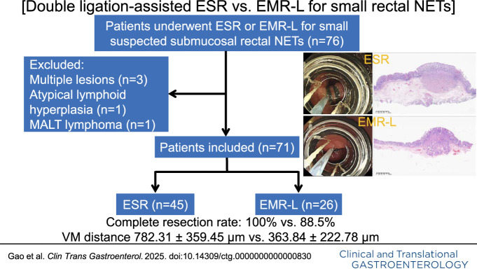 Double Band Ligation-Assisted Endoscopic Submucosal Resection for Rectal Neuroendocrine Tumors: Comparison With Conventional Endoscopic Mucosal Resection With Ligation (With Video).