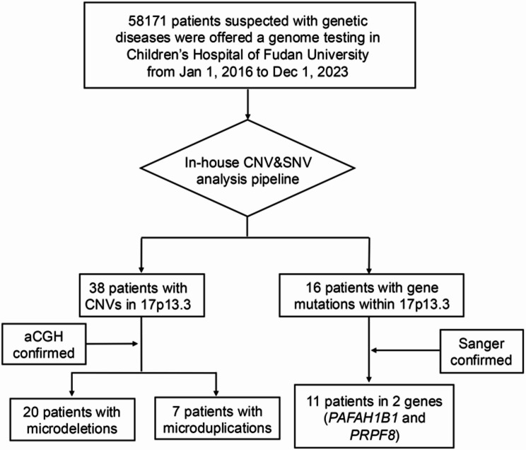 Deep clinical and genetic analysis of 17p13.3 region: 38 pediatric patients diagnosed using next-generation sequencing and literature review.