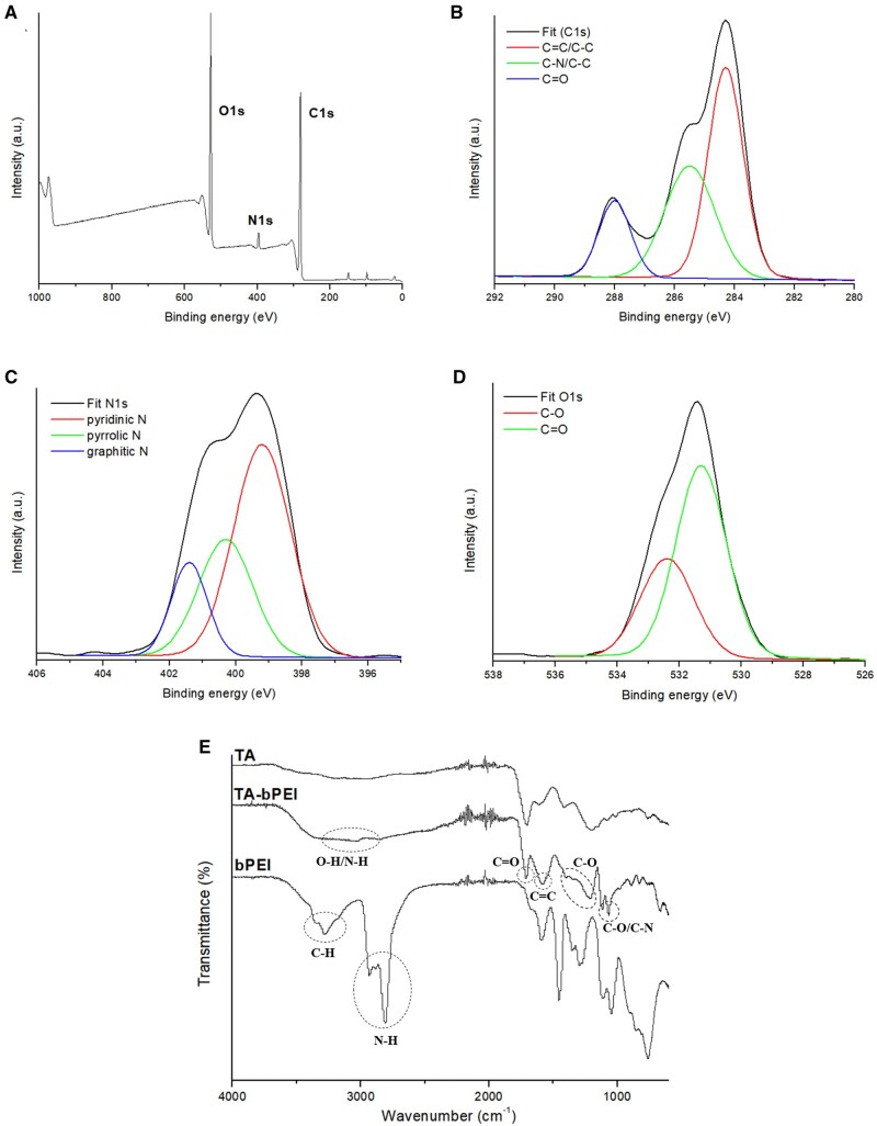 Tartaric acid-branched polyethyleneimine carbon dots promote repair of bone defect via osteogenic differentiation.