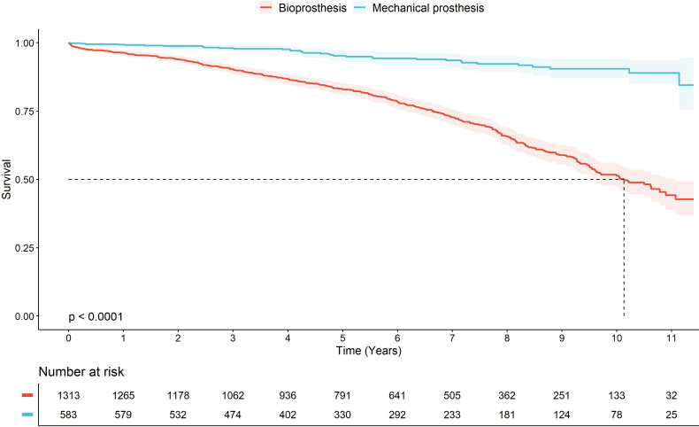 Survival and cause of death after isolated primary aortic valve replacement at Oslo University Hospital (2012-2021): a retrospective registry-based study.