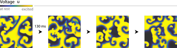 Abstract Image