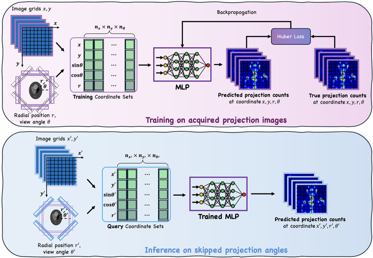 Shorter SPECT scans using self-supervised coordinate learning to synthesize skipped projection views.
