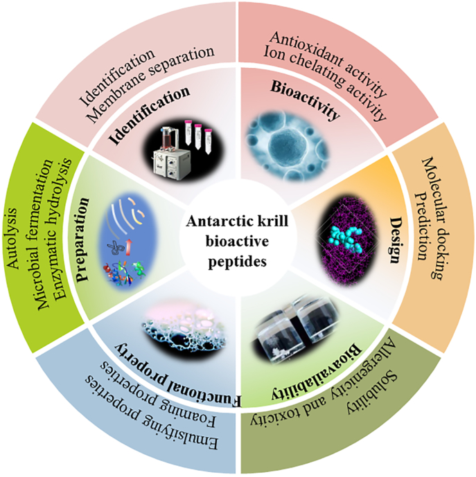 Review on bioactive peptides from Antarctic krill: From preparation to structure-activity relationship and tech-functionality.