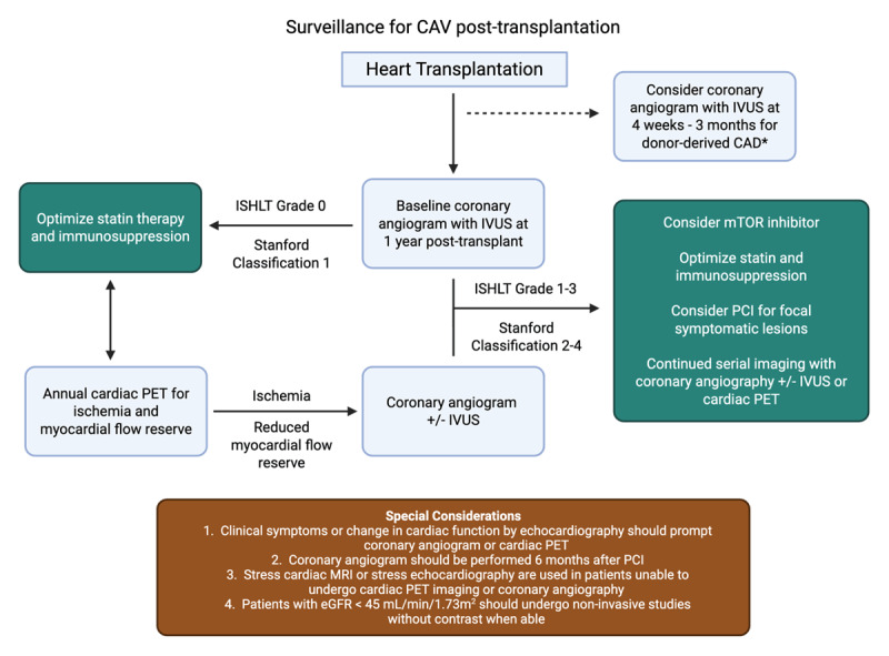 Cardiac Allograft Vasculopathy: A Focus on Advances in Diagnosis and Management.