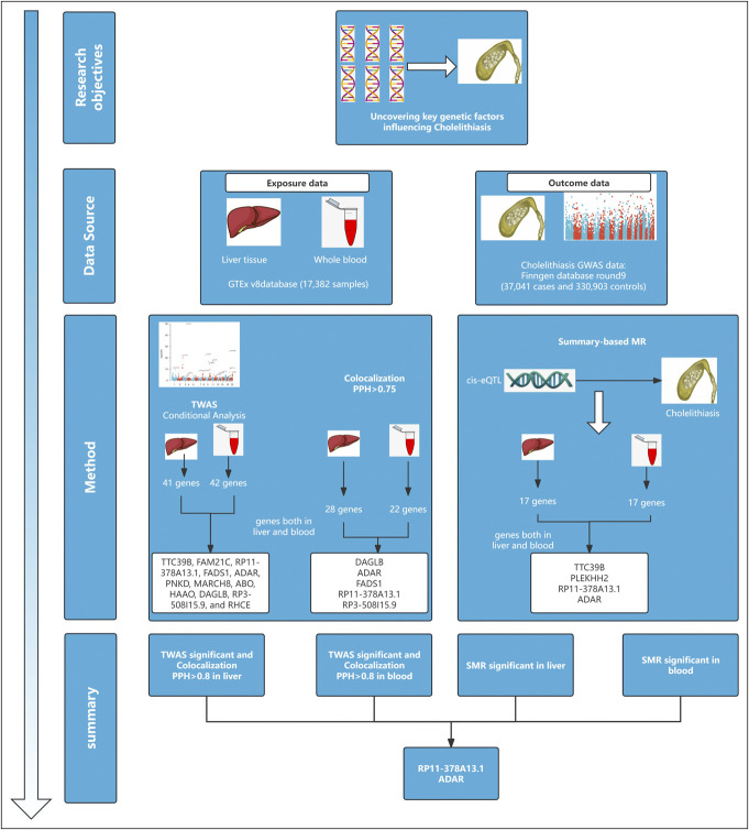 Whole Transcriptome-wide Analysis Combined With Summary Data-Based Mendelian Randomization Identifies High-Risk Genes for Cholelithiasis Incidence.