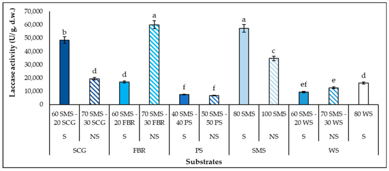 Combined Effect of Spent Mushroom Substrate and Agro-Industrial Residues on <i>Pleurotus columbinus</i> Production and Intra-Cellular Polysaccharide Synthesis.