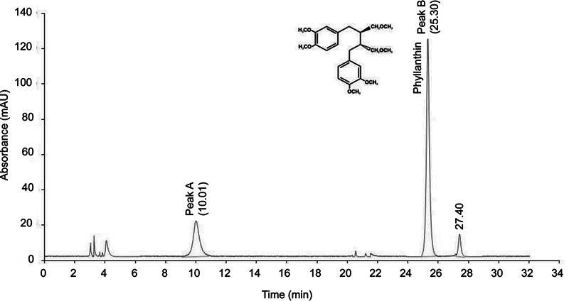 Phyllanthin from Phyllanthus amarus exerts neuroprotective effects against spinal cord injury in experimental rats.