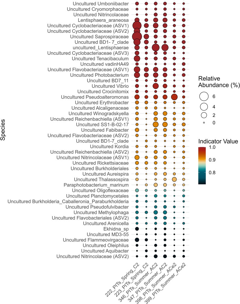 In a sea of microbes, eddy events trigger diatom export in the Sargasso Sea.