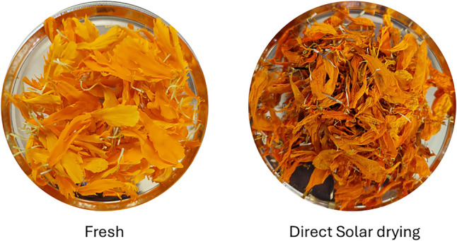 Total Phenolic, Flavonoid Content, and Antioxidant Activity of Dried Marigold (Tagetes erecta L.) Petals Produced in a Mixed-Mode Solar Dryer.