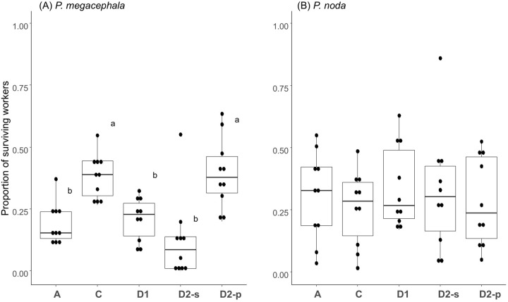 Open and closed economies as possible alternative strategies to resource heterogeneity in ants.