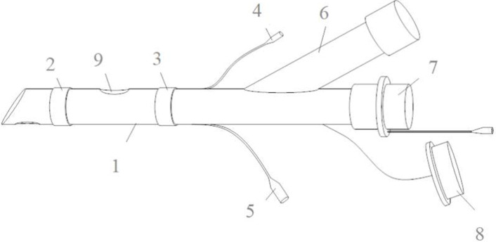 A Recently Patented Sleeve-Type Endotracheal Tube: Innovative Design and Clinical Prospects for Improving One-Lung Ventilation.