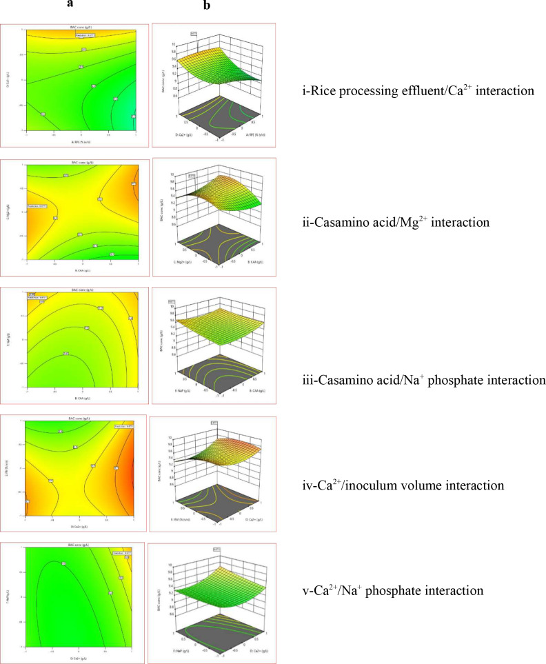 Bio-induced overproduction of heterocycloanthracin-like bacteriocin in Lysinibacillus macroides by Aspergillus austroafricanus: optimization of medium conditions and evaluation of potential applications.