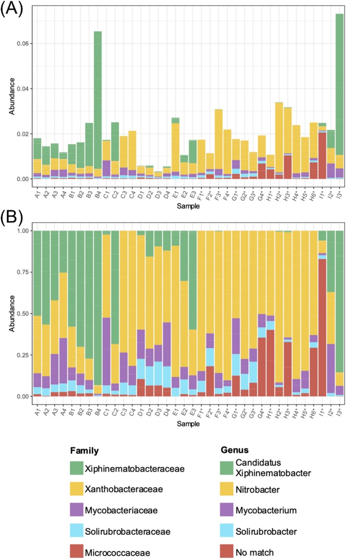 Comparative Three-Barcode Phylogenetics and Soil Microbiomes of Planted and Wild <i>Arbutus</i> Strawberry Trees.