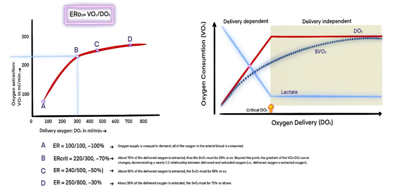 Foundations and Advancements in Hemodynamic Monitoring: Part I-Elements of Hemodynamics