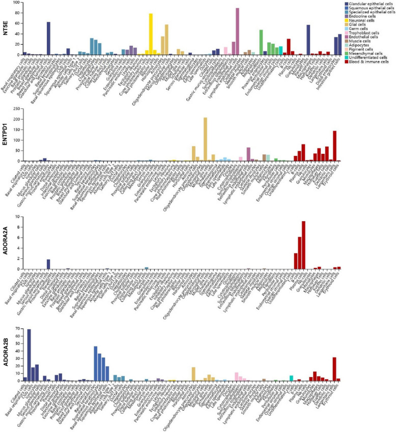 The progress and prospects of targeting the adenosine pathway in cancer immunotherapy.