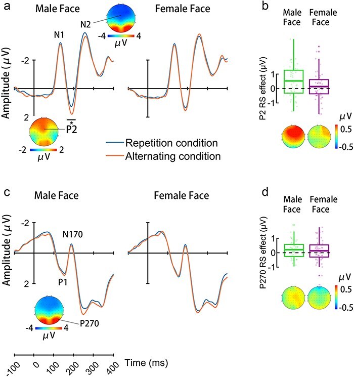 Priority of spontaneous gender categorization of same-sex faces in young adults.