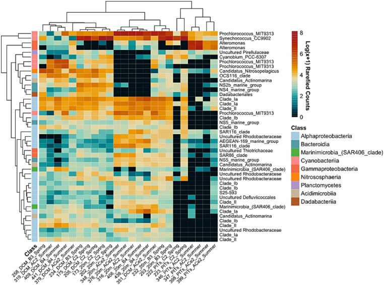 In a sea of microbes, eddy events trigger diatom export in the Sargasso Sea.