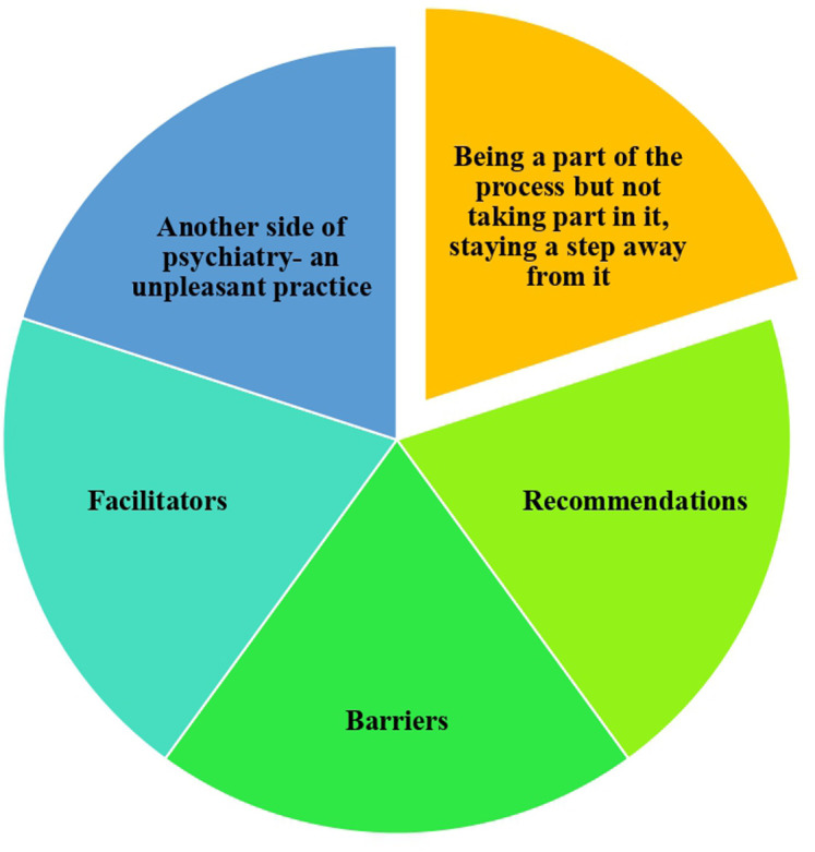 Team Collaboration Experiences of Nurses and Physicians Working in Inpatient Psychiatry Units Related to Physical Restraint Practices: A Qualitative Study.