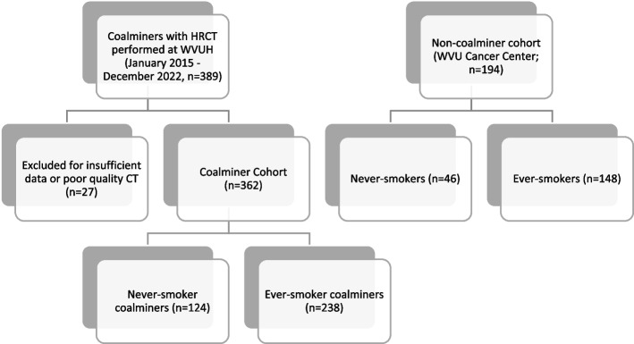 Impact of coal mine dust exposure and cigarette smoking on lung disease in Appalachian coalminers.