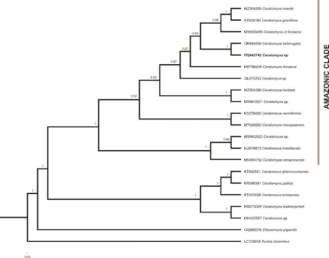 Morphology and molecular characterization of Ceratomyxa sp. (Cnidaria, Myxosporea, Ceratomyxidae), infecting the gallbladder of Curimata cyprinoides (Characiformes: Curimatidae) in the lower Araguaia River, Brazil.