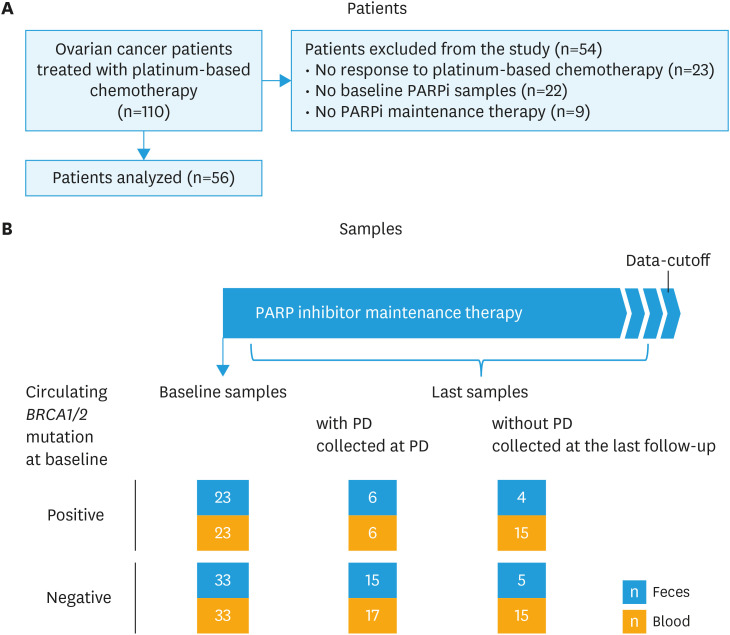 Gut microbiome associated with PARP inhibitor efficacy in patients with ovarian cancer.