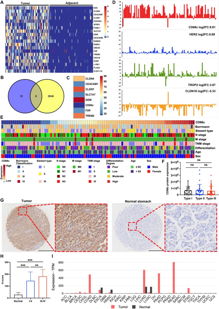 Identification of CD66c as a potential target in gastroesophageal junction cancer for antibody-drug conjugate development.
