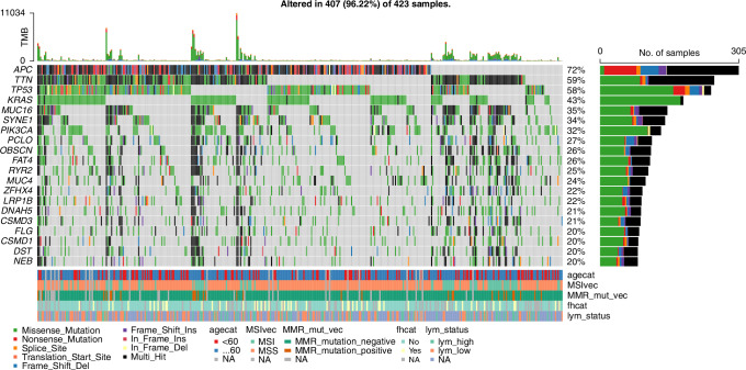 Genomics and integrative clinical data machine learning scoring model to ascertain likely Lynch syndrome patients.
