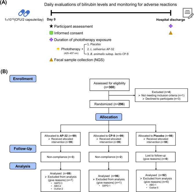 Effects of phototherapy combined with Lactobacillus salivarius AP-32 or Bifidobacterium animalis subsp. lactis CP-9 on improving neonatal jaundice and gut microbiome health: a randomized double-blind clinical study.