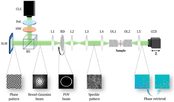 High-resolution quantitative phase imaging via vortex beam speckle illumination.