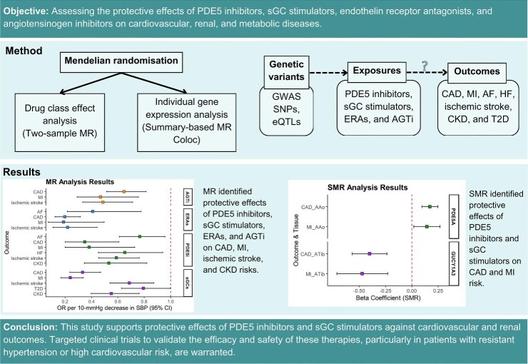 Emerging antihypertensive therapies and cardiovascular, kidney, and metabolic outcomes: a Mendelian randomization study.