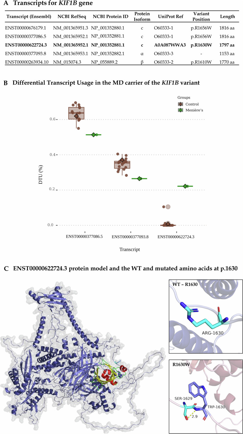 An ultra-rare missense variant in the KIF1B gene linked to autoinflammatory Menière's disease.