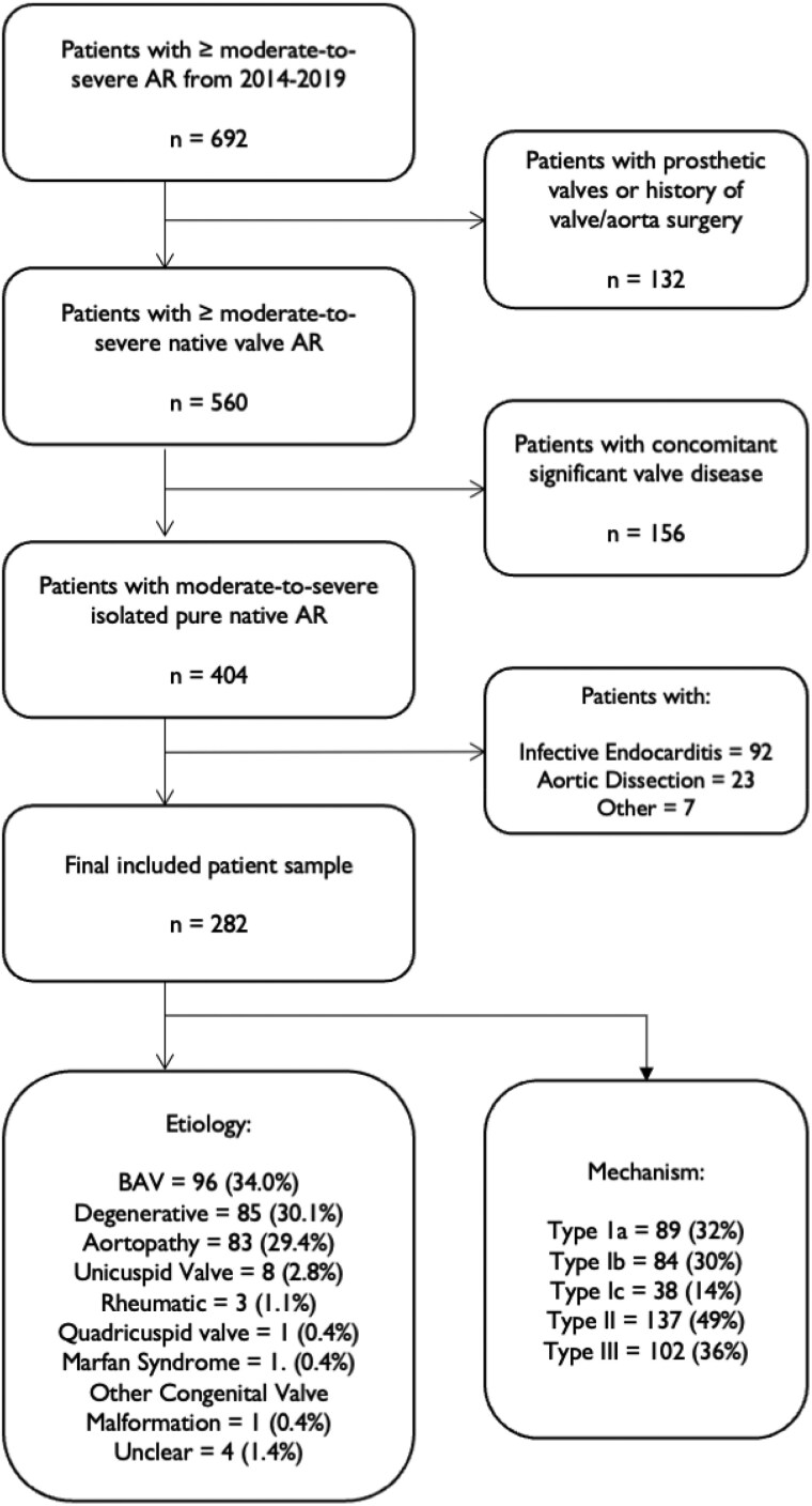 Mechanistic classification of isolated severe aortic regurgitation in a contemporary cohort of patients.