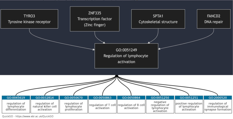 Genes of the "regulation of lymphocyte activation" pathway may influence immune cells infiltration in growth hormone secreting pituitary tumors.