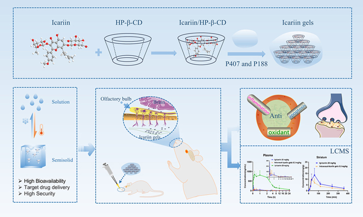 A promising strategy of brain targeted delivery for the treatment of Parkinson's disease: Cyclodextrin supramolecular inclusion complex based thermosensitive gel.